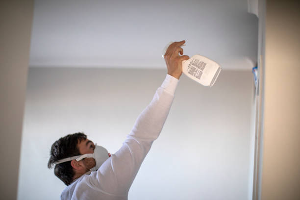 Best Residential Mold Remediation in Perkins, OK