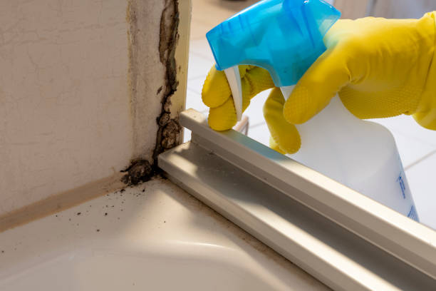 Best Mold Testing and Inspection Services in Perkins, OK