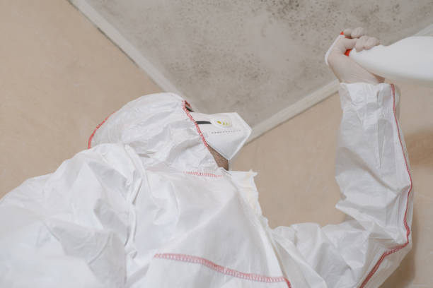 Best DIY Mold Remediation Support Services in Perkins, OK